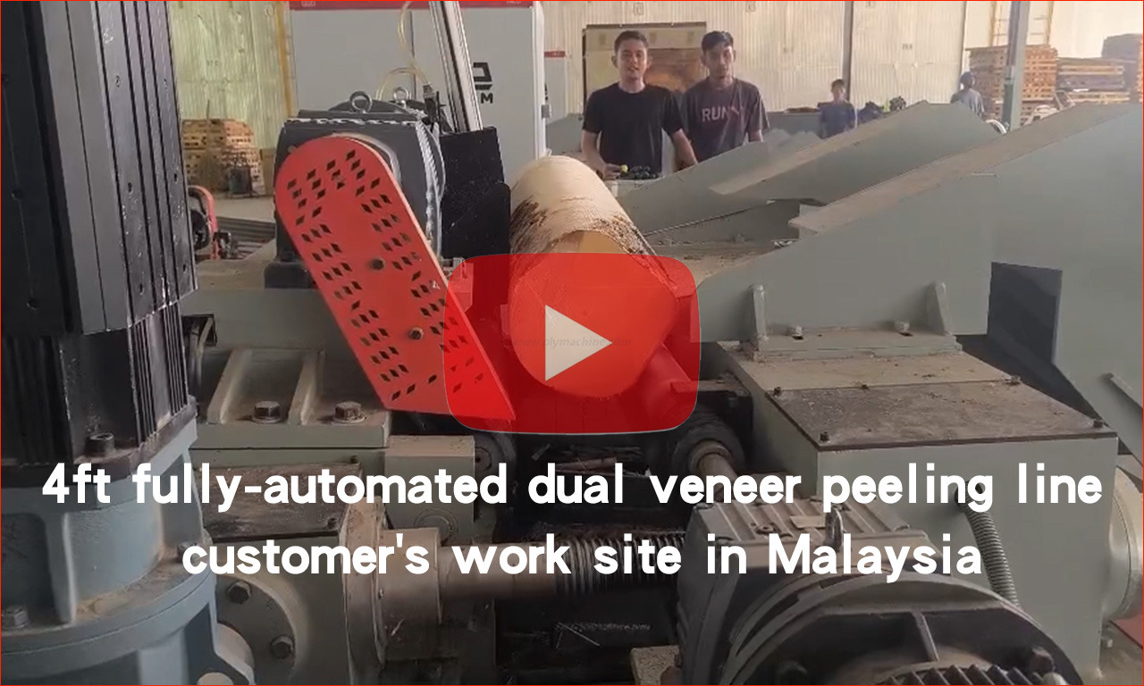 veneer-peeling-line-customers-work-site-in-Malaysia