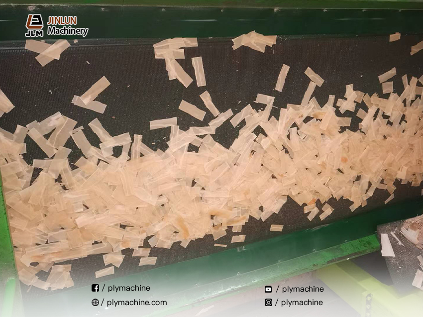 Achieved International Leading Status4