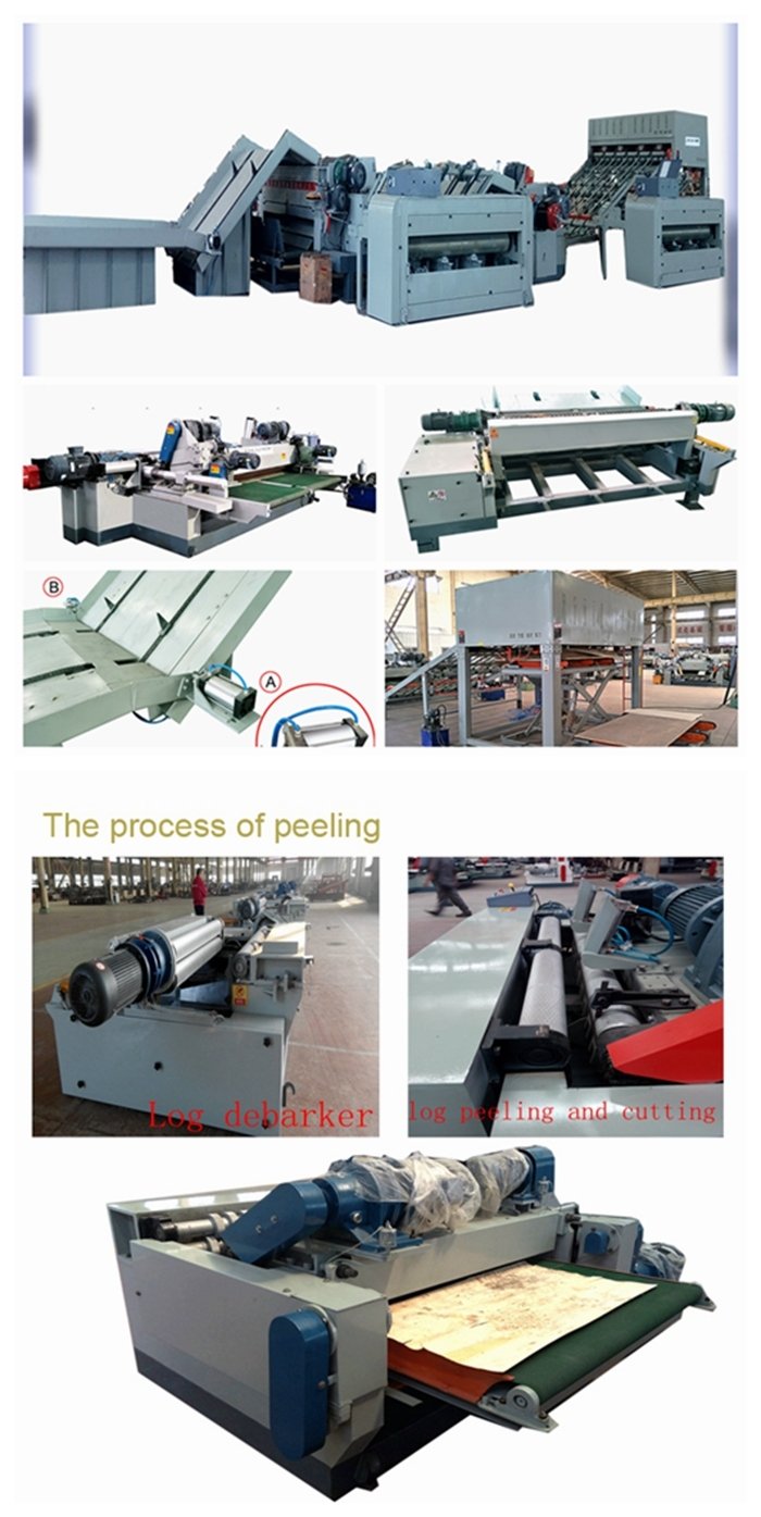 4/8 Feet Automatic Plywood Production Line