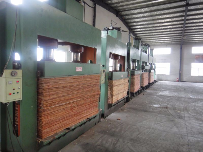 Hydraulic Plywood Cold Press Machine for Wood Working